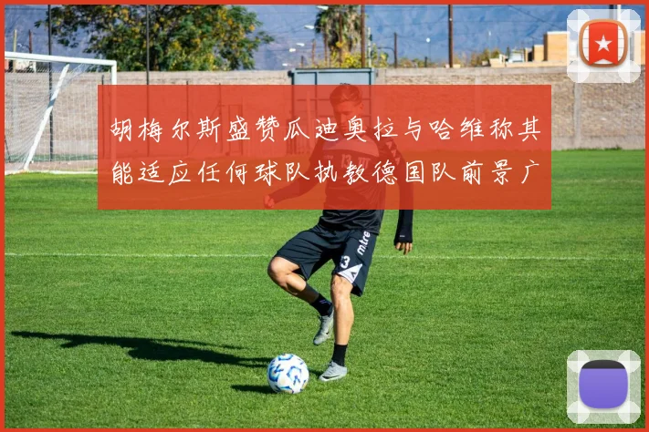 胡梅尔斯盛赞瓜迪奥拉与哈维称其能适应任何球队执教德国队前景广阔