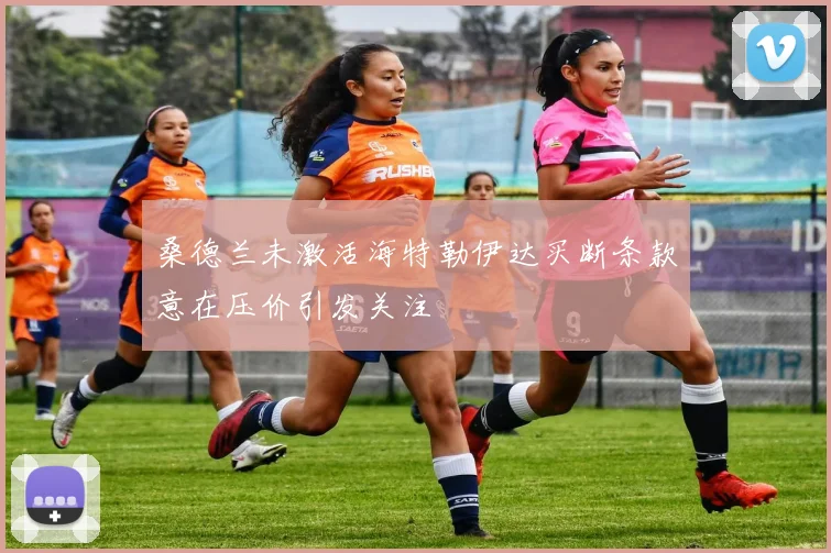 桑德兰未激活海特勒伊达买断条款意在压价引发关注