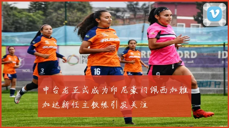 申台龙正式成为印尼豪门佩西加雅加达新任主教练引发关注